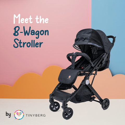Baby Stroller for 0 to 5 Years Foldable Travel Friendly with Shock A Tinyberg